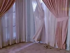 Ο Realtor δοκιμάζει νέα cookies & Cock για να επισφραγίσει τη συμφωνία